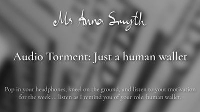 19190 - Audio Torment: Just a human wallet