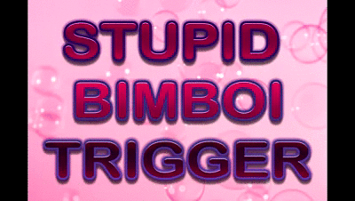 26813 - STUPID BIMBOI TRIGGER