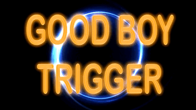 28641 - GOOD BOY TRIGGER